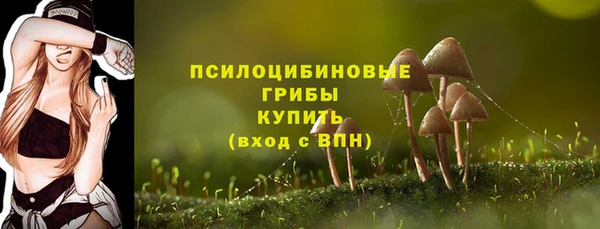 прущие крисы Костерёво