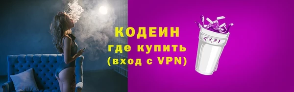 гидра Кодинск