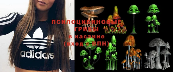 прущие крисы Костерёво