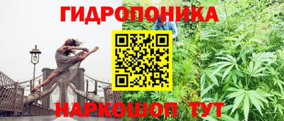 индика Балаково