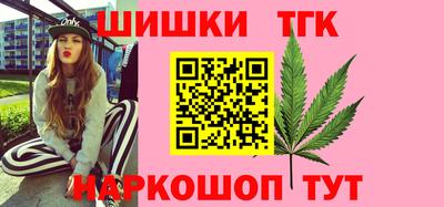 дмт Дубна