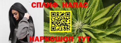 дмт Дубна