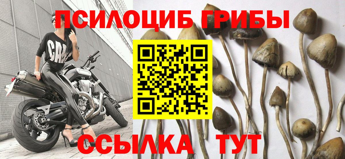 Псилоцибиновые грибы MAGIC MUSHROOMS  Октябрьский 