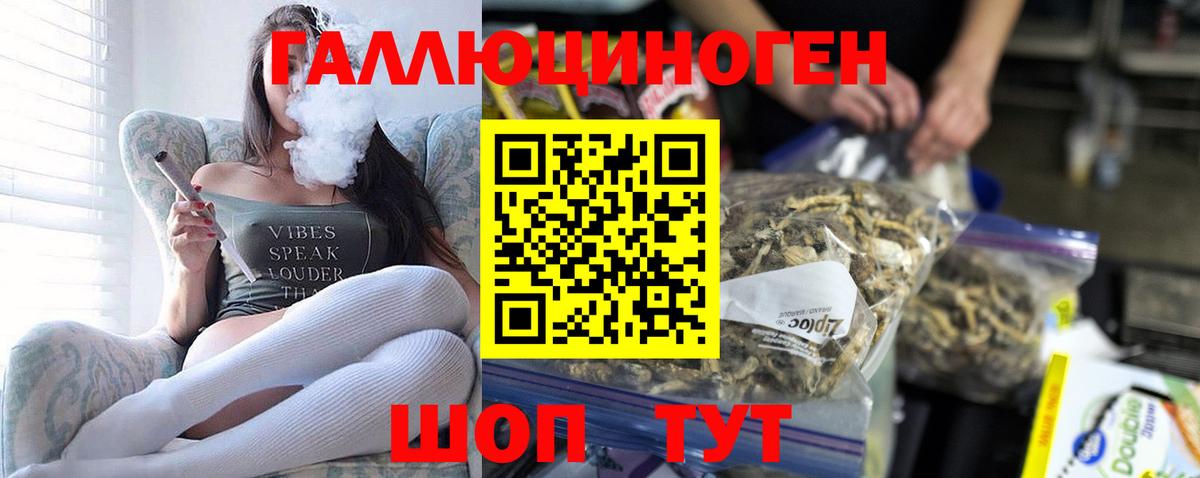 Галлюциногенные грибы Psilocybe  Галлюциногенные грибы Psilocybe  Октябрьский  Вход с VPN 
