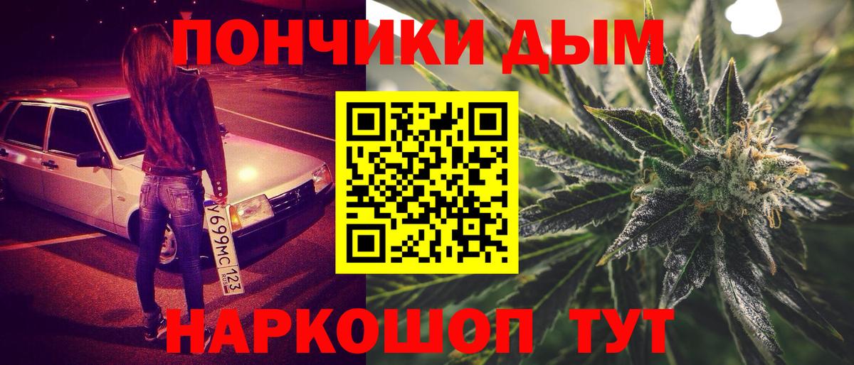 МАРИХУАНА планчик  Каннабис гибрид  Октябрьский  Бошки марихуана MAZAR 